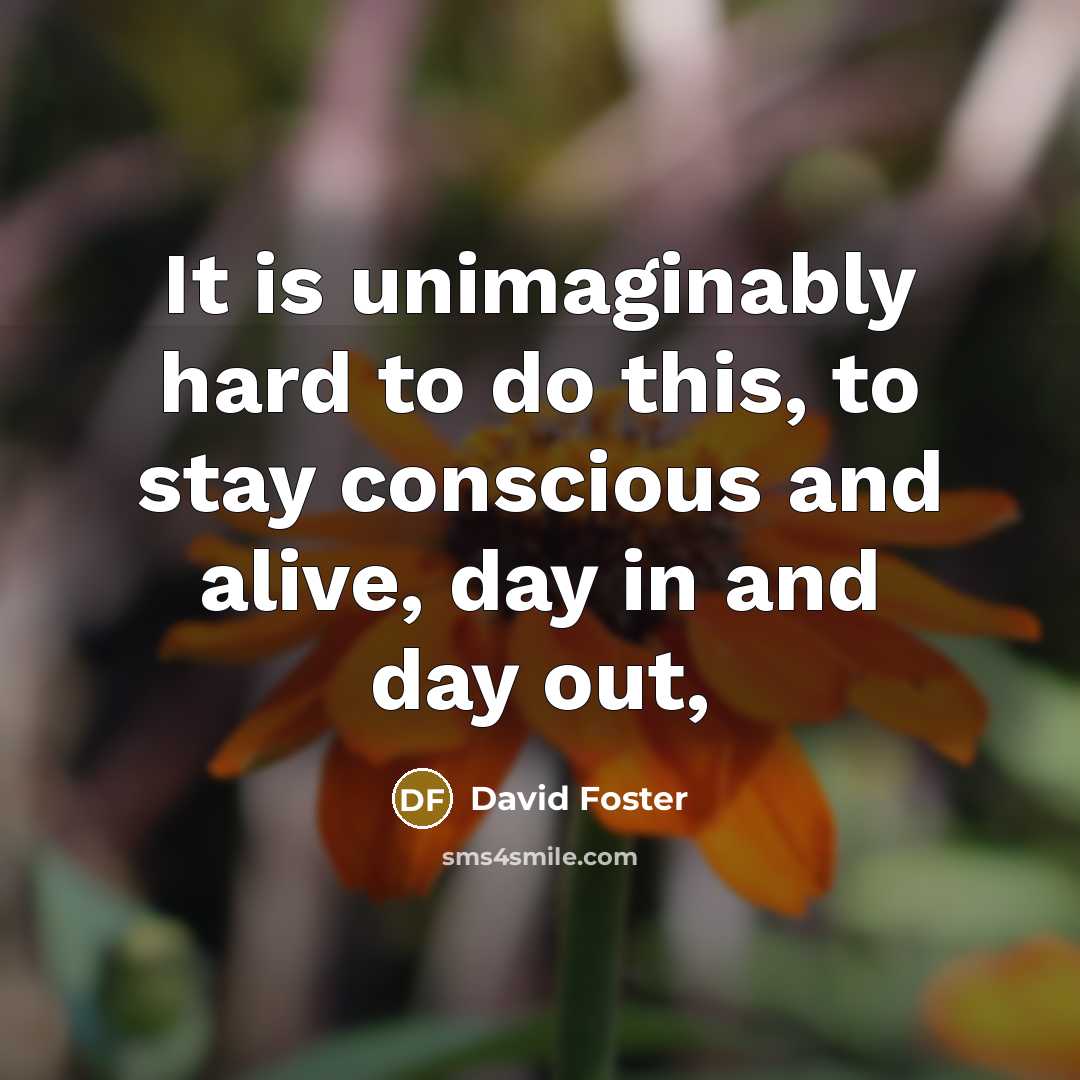 “It is unimaginably hard to do this, to stay conscious…” quote by David Foster