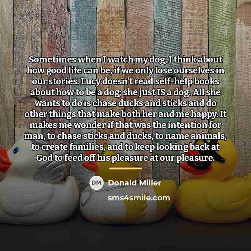 “Sometimes when I watch my dog, I think about how…” quote by Donald Miller