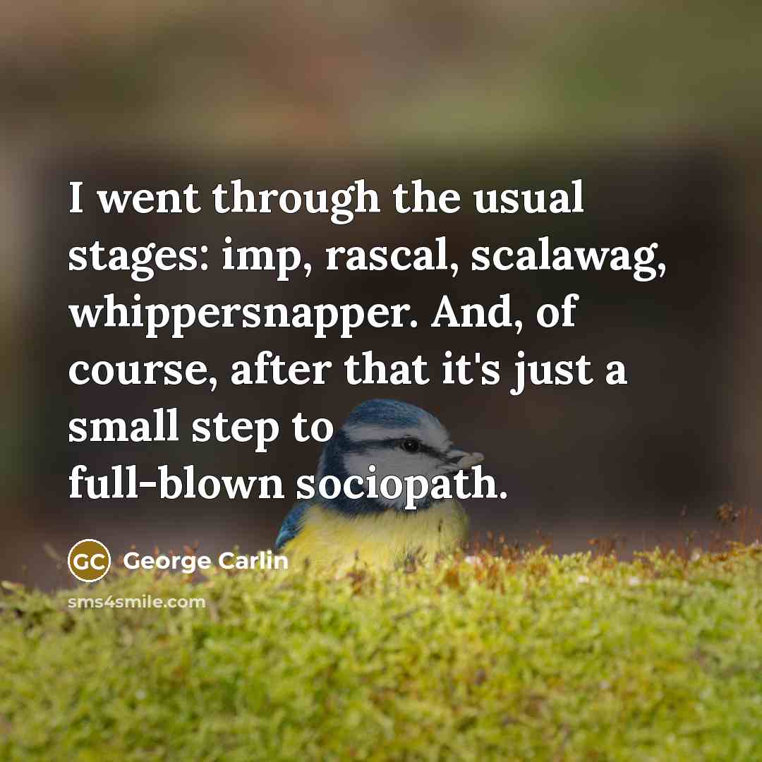 “I went through the usual stages: imp, rascal, scalawag, whippersnapper.…” quote by George Carlin
