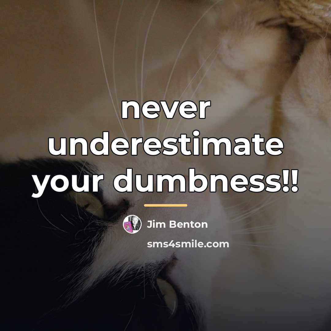 “never underestimate your dumbness!!…” quote by Jim Benton