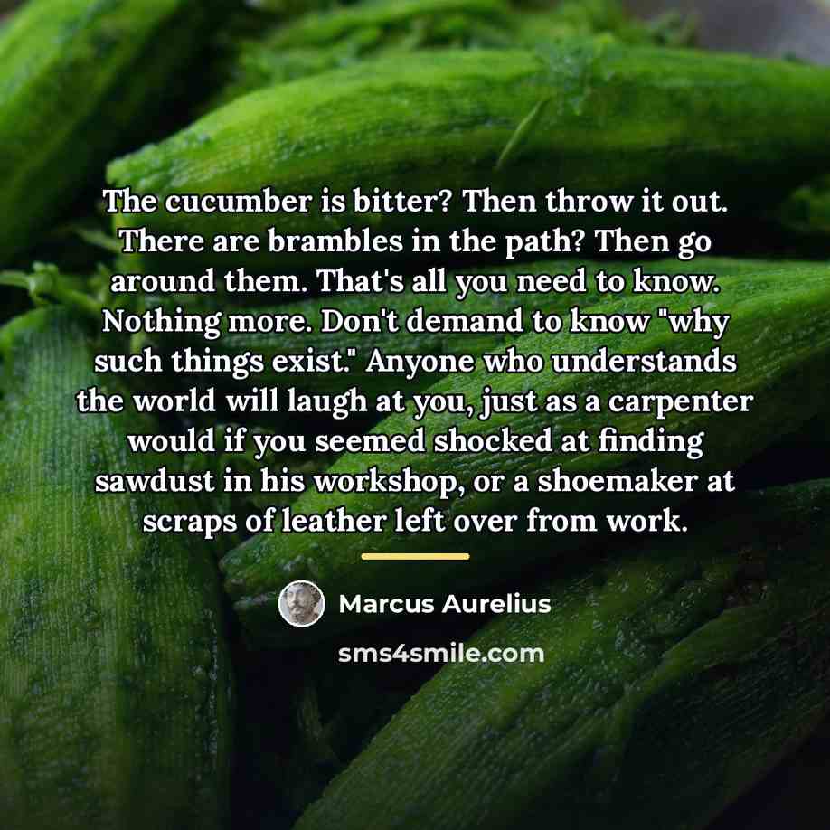 “The cucumber is bitter? Then throw it out. There are…” quote by Marcus Aurelius