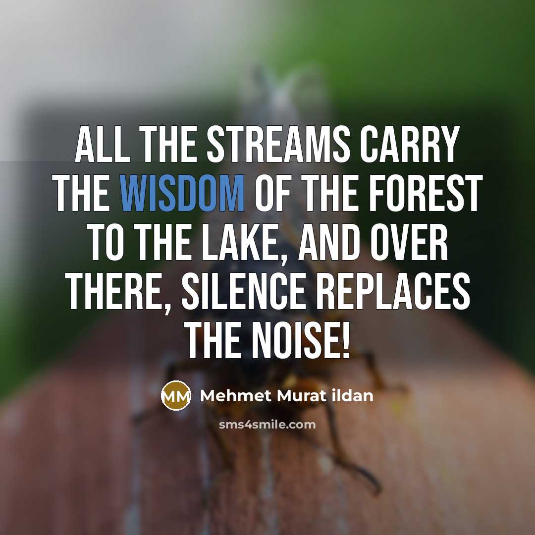 “All the streams carry the wisdom of the forest to…” quote by Mehmet Murat Ildan
