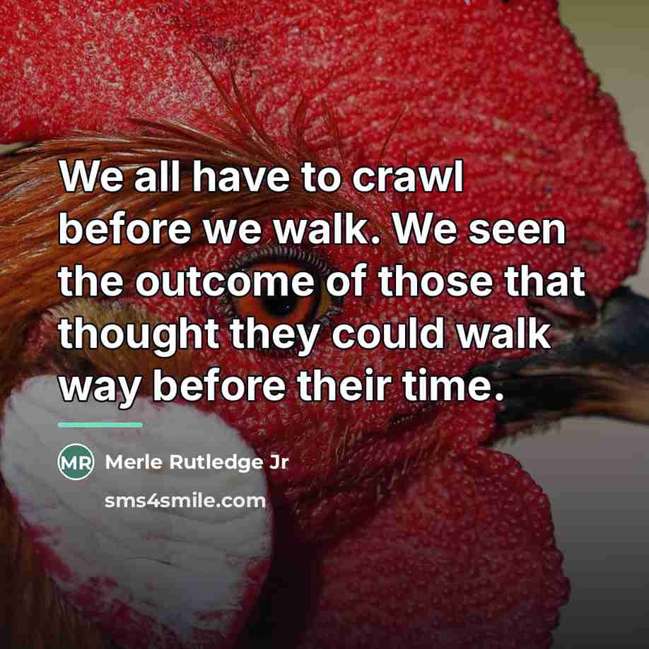 “We all have to crawl before we walk. We seen…” quote by Merle Rutledge Jr