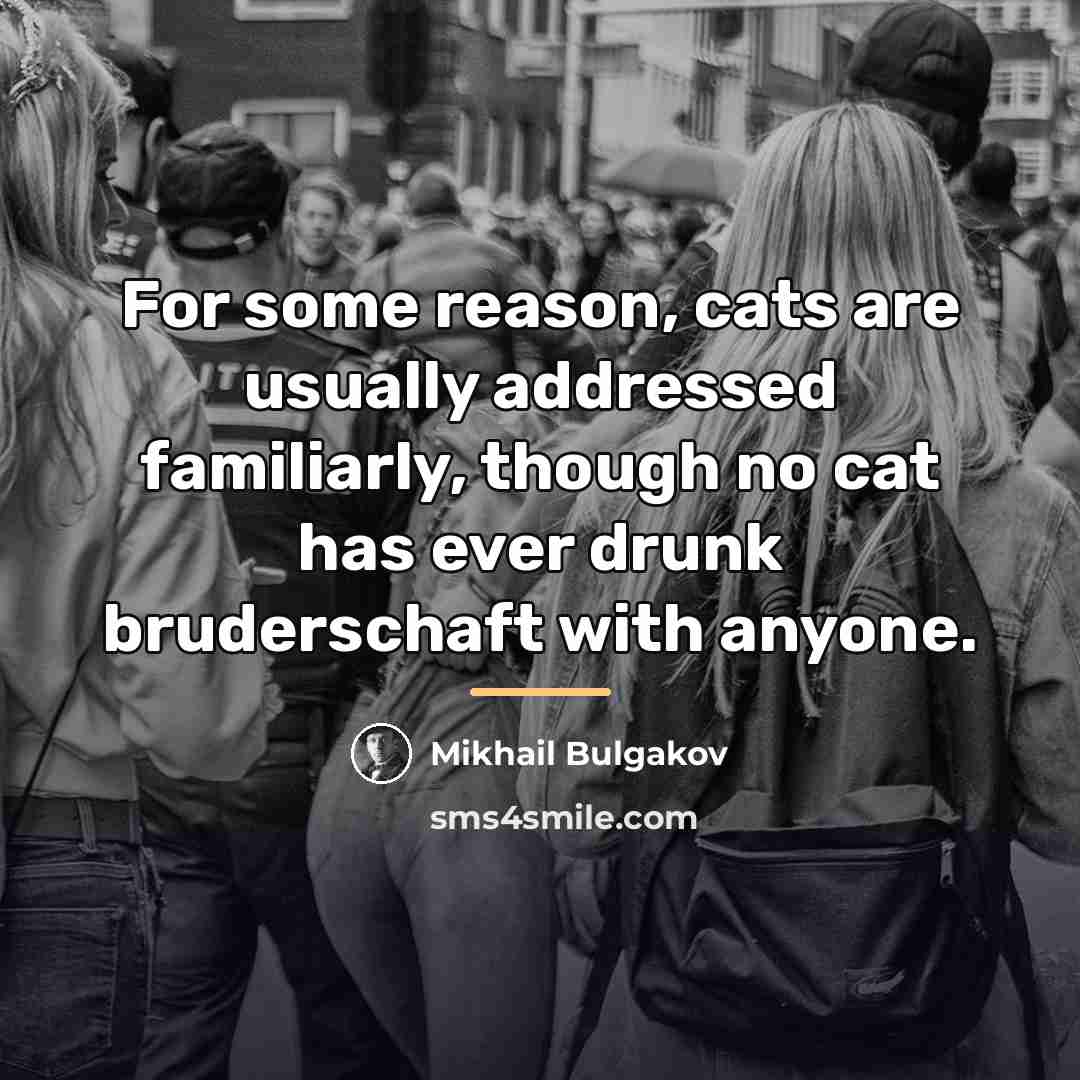 “For some reason, cats are usually addressed familiarly, though no…” quote by Mikhail Bulgakov