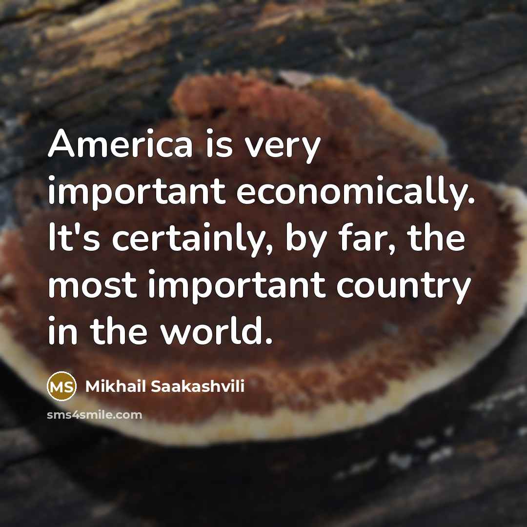 “America is very important economically. It's certainly, by far, the…” quote by Mikhail Saakashvili