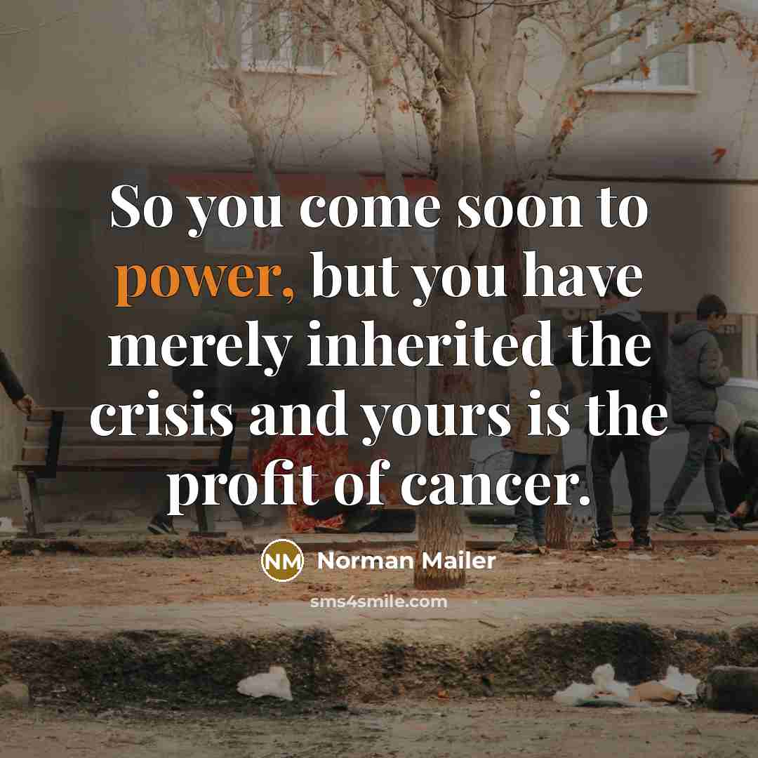 “So you come soon to power, but you have merely…” quote by Norman Mailer