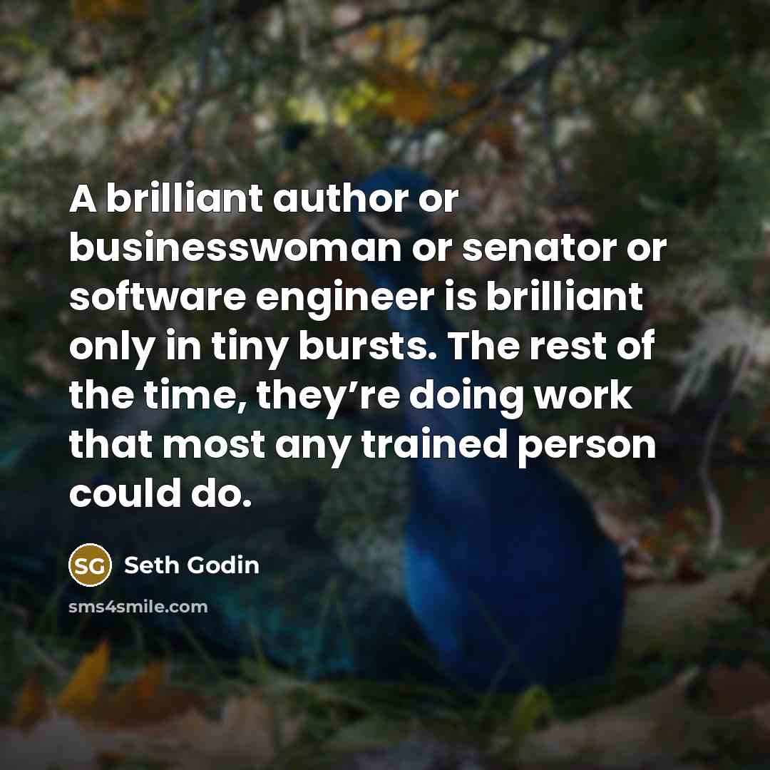 “A brilliant author or businesswoman or senator or software engineer…” quote by Seth Godin