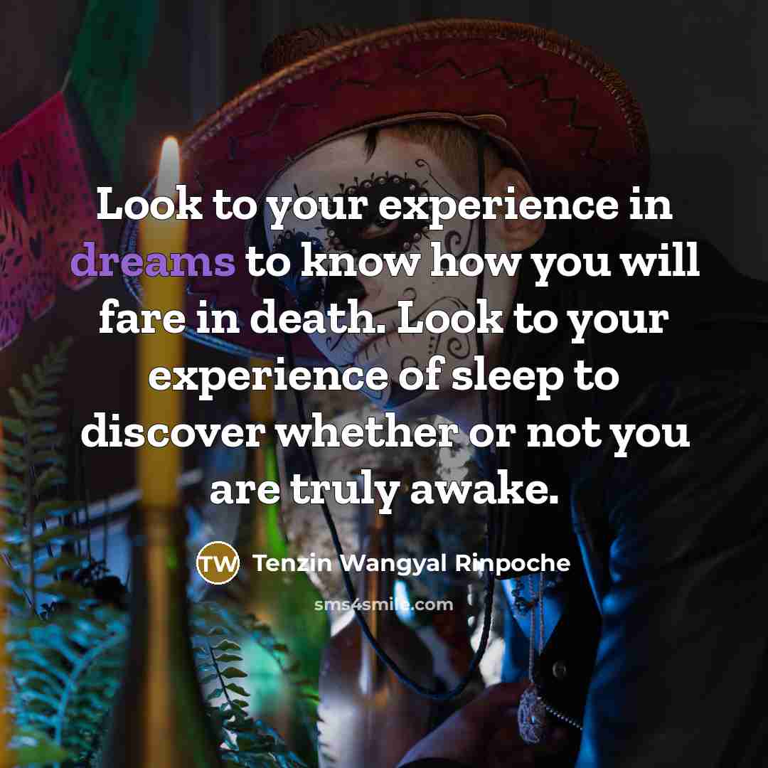 “Look to your experience in dreams to know how you…” quote by Tenzin Wangyal Rinpoche
