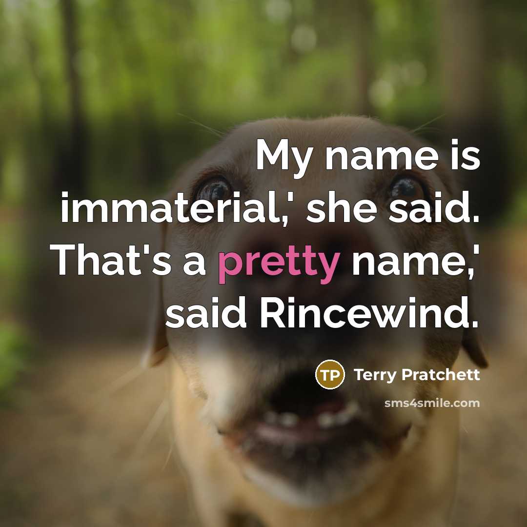 “My name is immaterial,' she said. That's a pretty name,'…” quote by Terry Pratchett