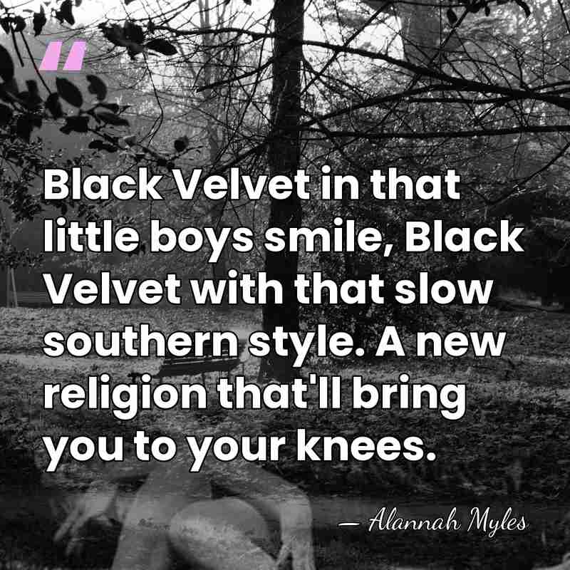 Black Velvet in that little boys smile, Black Velvet with that slow&hellip; - Alannah Myles