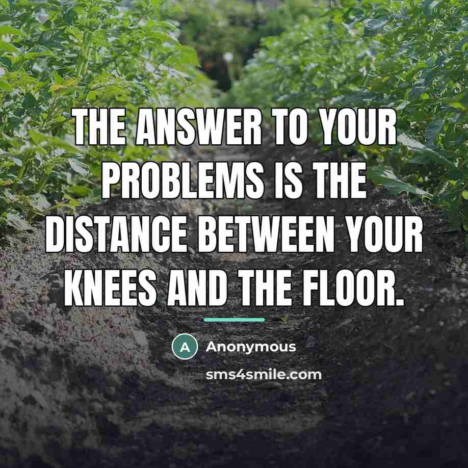 “The answer to your problems is the distance between your…” quote by Anonymous