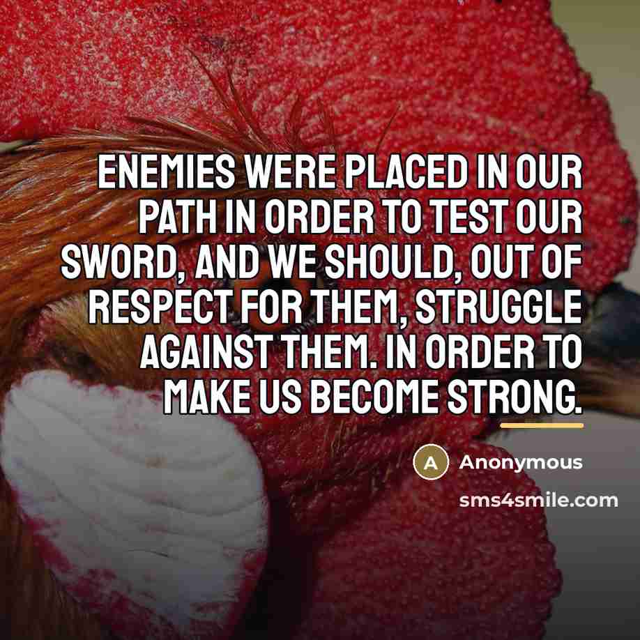 “Enemies were placed in our path in order to test…” quote by Anonymous