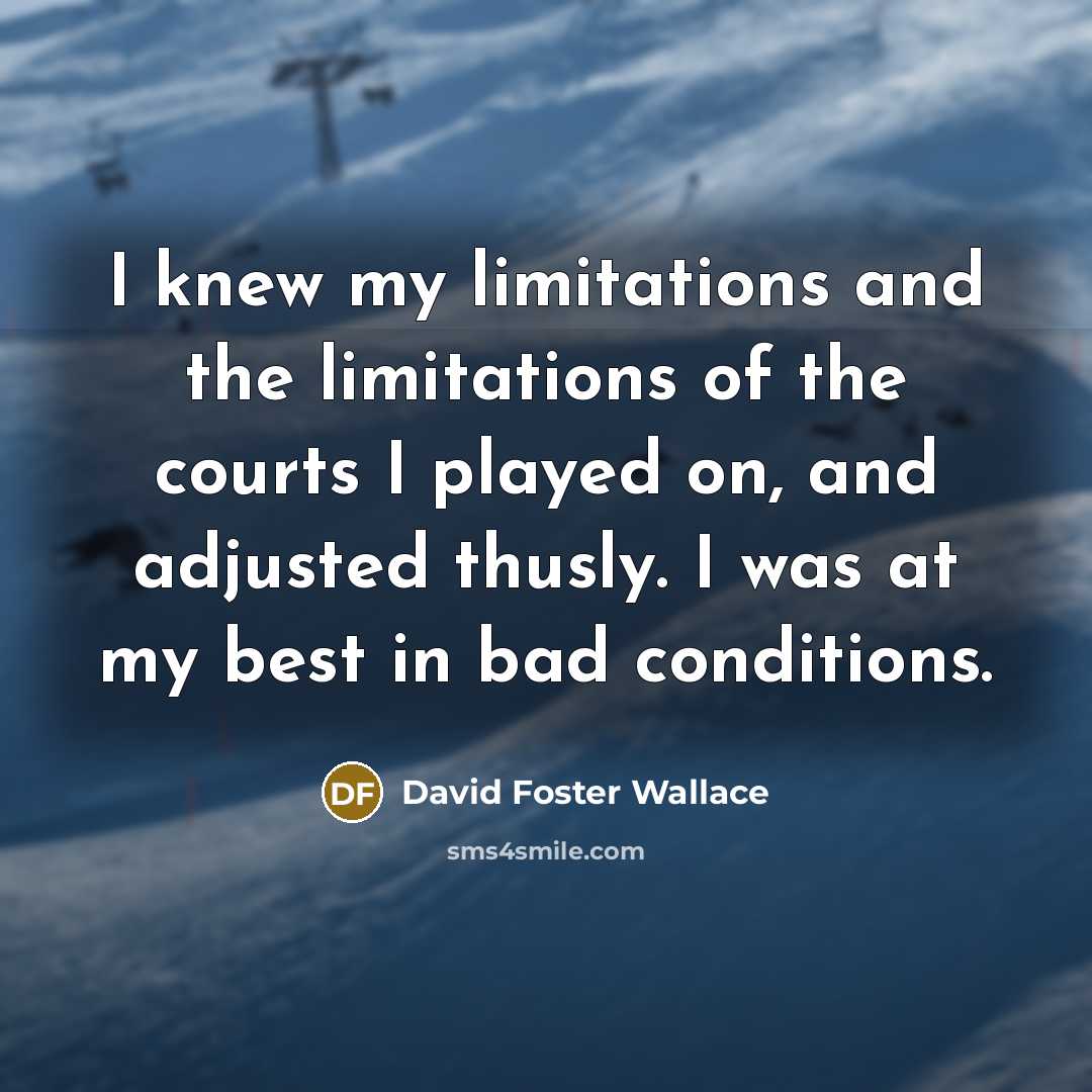 “I knew my limitations and the limitations of the courts I played on, and adjusted thusly. I was at my best in bad conditions.” quote by David Foster Wallace