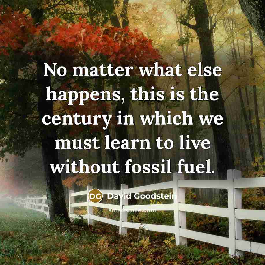 “No matter what else happens, this is the century in…” quote by David Goodstein