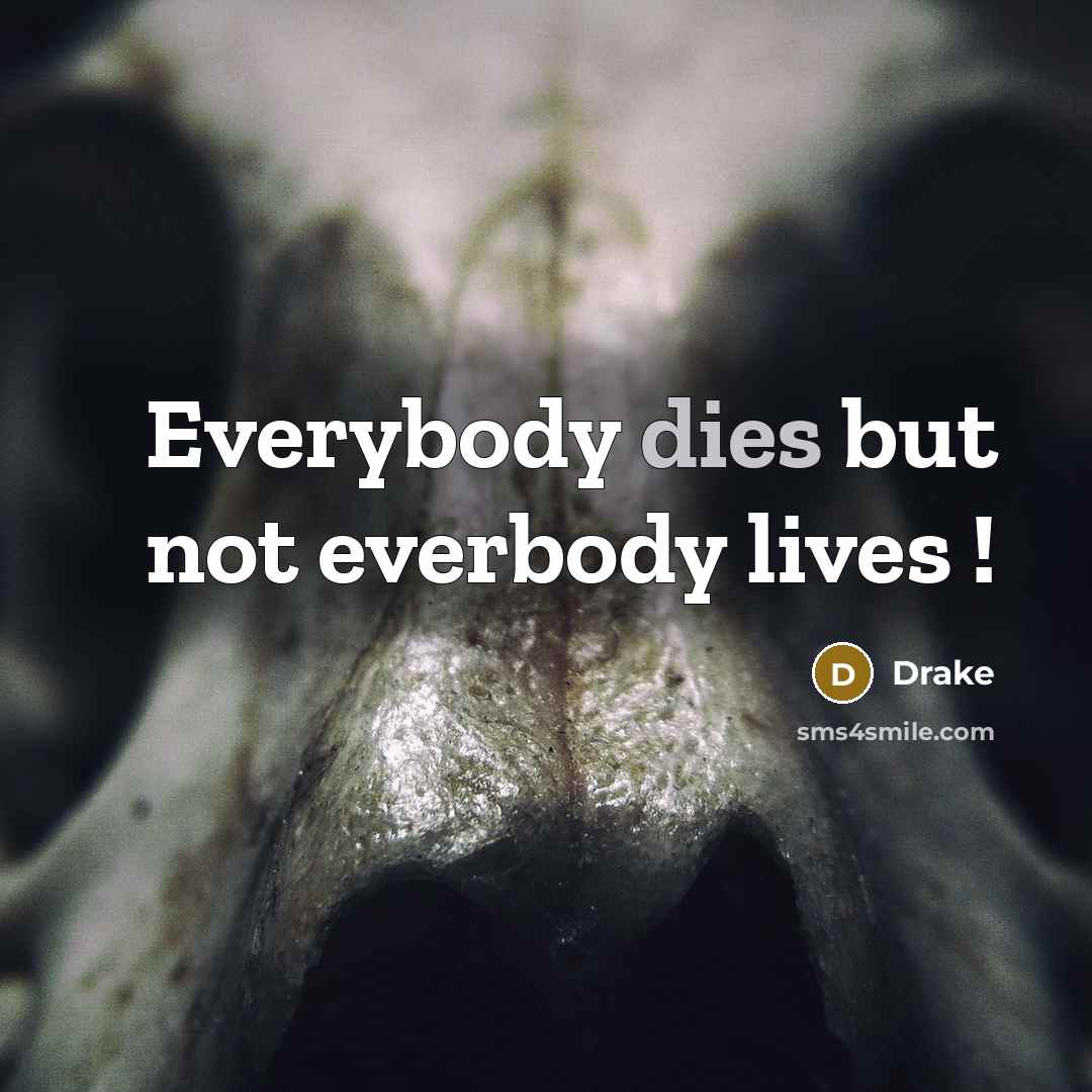 “Everybody dies but not everbody lives !” quote by Drake