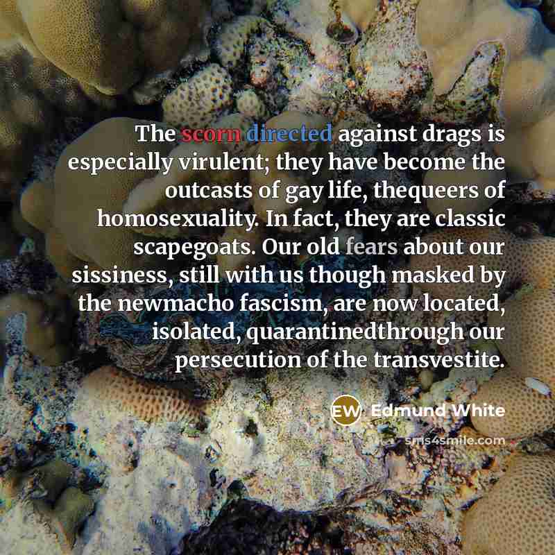 “The scorn directed against drags is especially virulent; they have…” quote by Edmund White