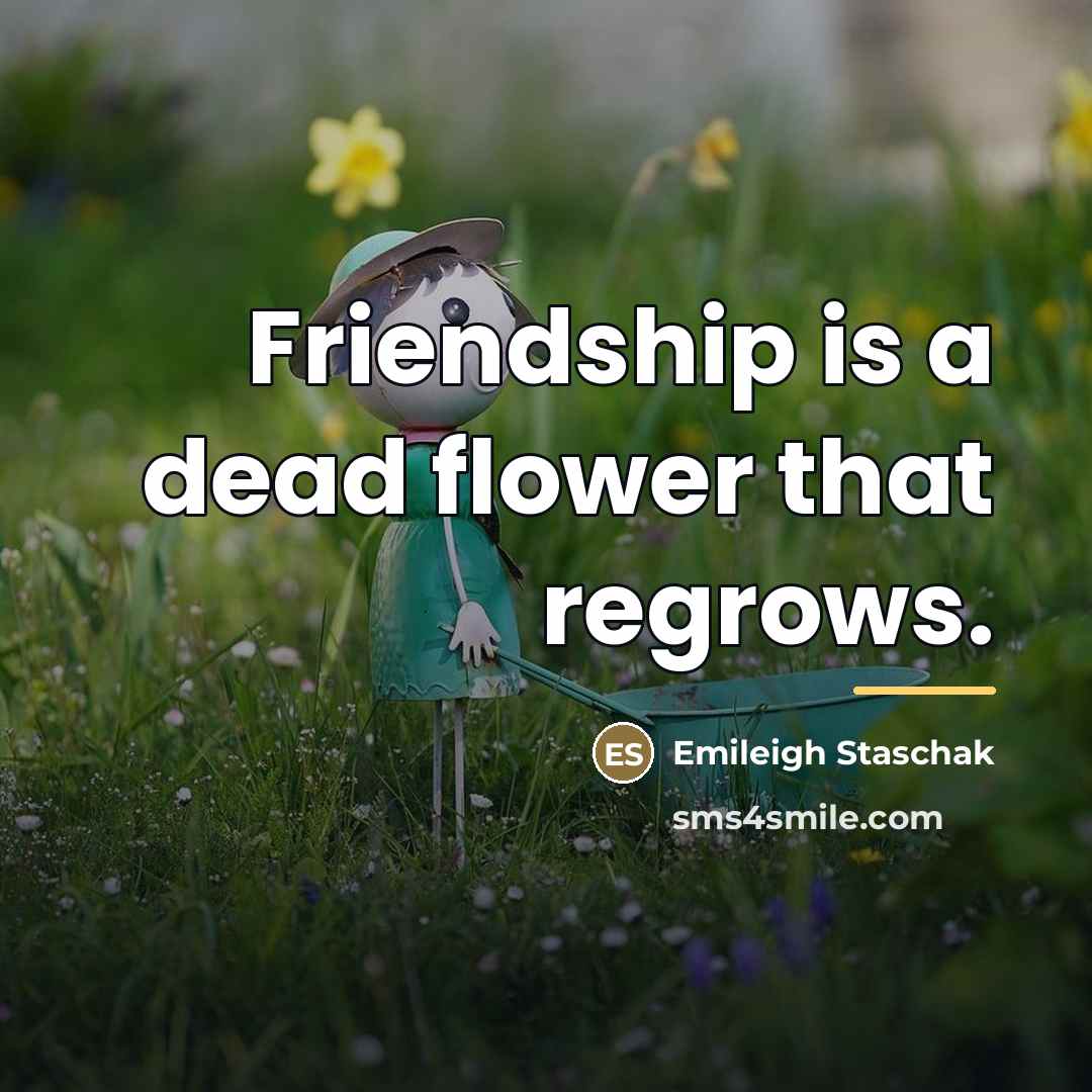 “Friendship is a dead flower that regrows.…” quote by Emileigh Staschak