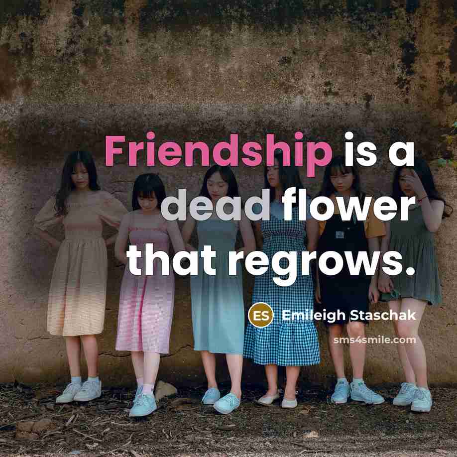 “Friendship is a dead flower that regrows.” quote by Emileigh Staschak