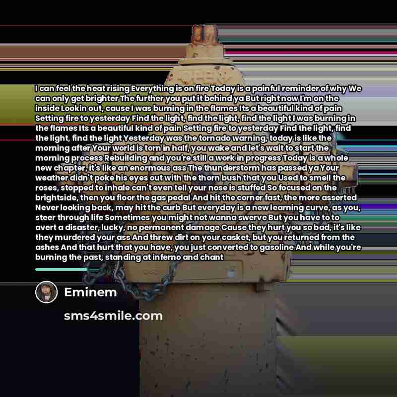 “I can feel the heat rising Everything is on fire…” quote by Eminem