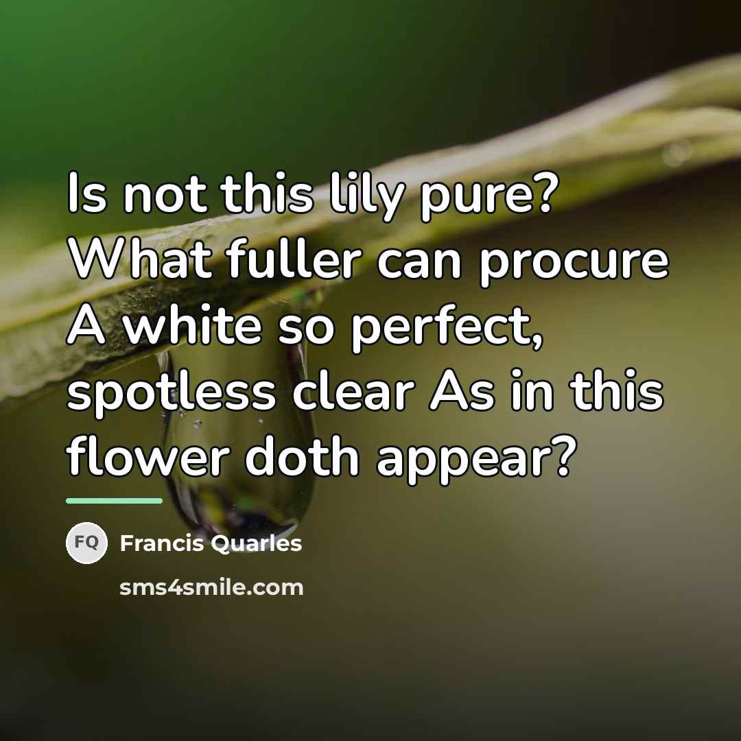 “Is not this lily pure? What fuller can procure A…” quote by Francis Quarles