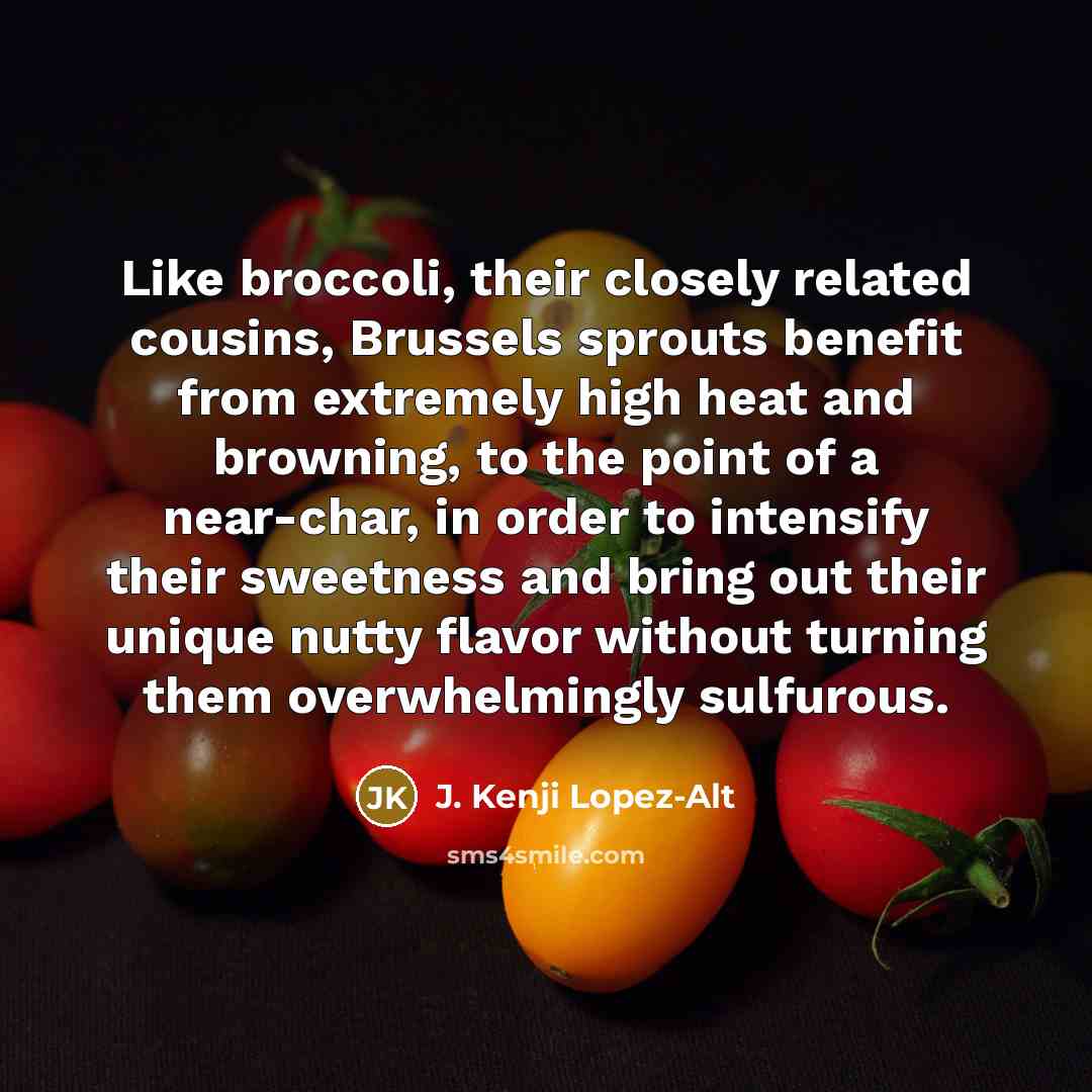 “Like broccoli, their closely related cousins, Brussels sprouts benefit from extremely high heat and browning, to the point of a near-char, in order to intensify their sweetness and bring out their unique nutty flavor without turning them overwhelmingly sulfurous.” quote by J. Kenji Lopez-Alt
