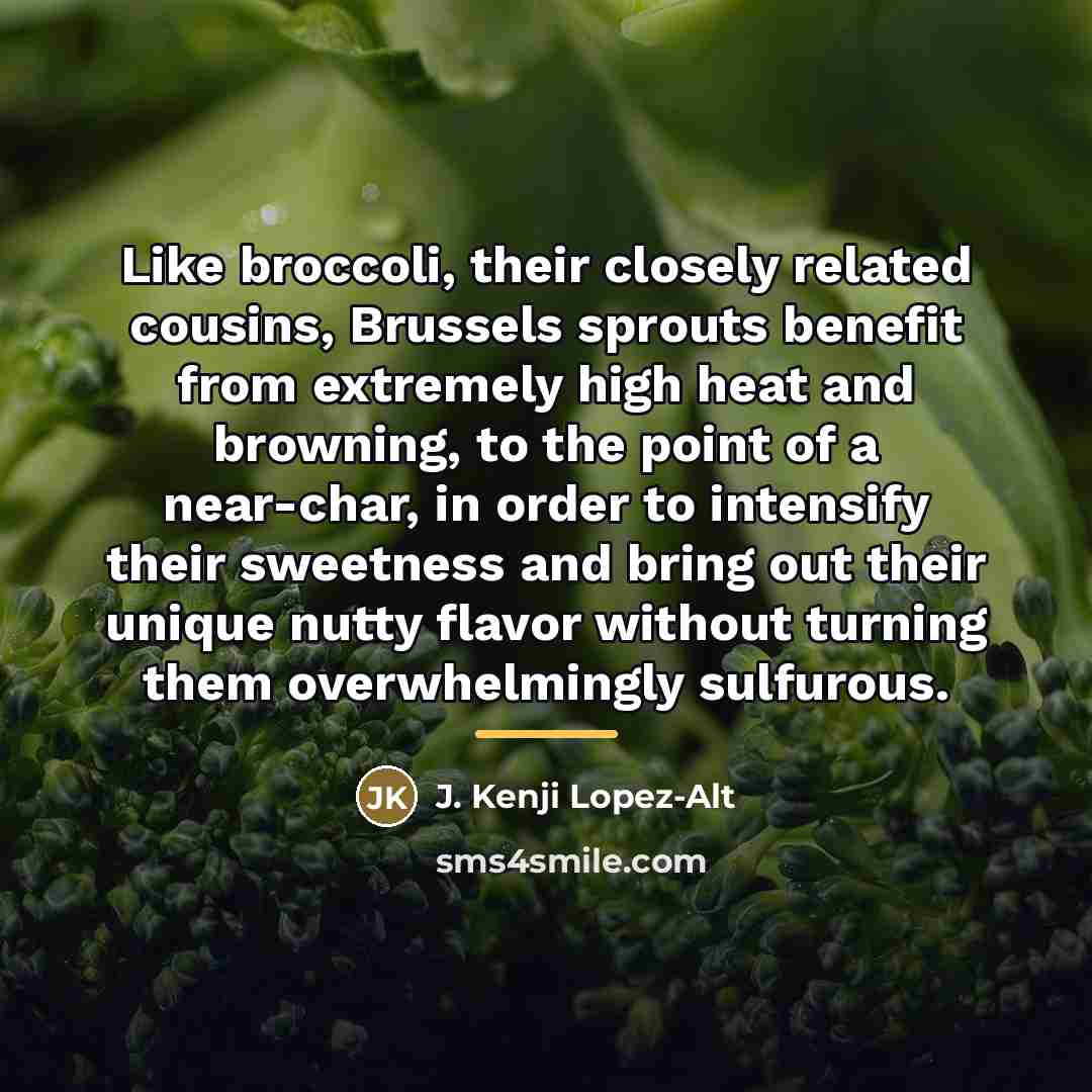 “Like broccoli, their closely related cousins, Brussels sprouts benefit from…” quote by J. Kenji Lopez-Alt