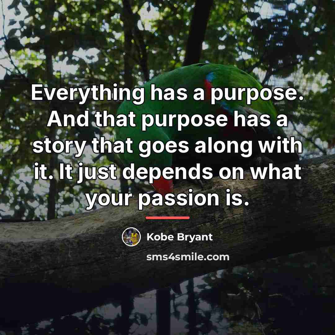 “Everything has a purpose. And that purpose has a story…” quote by Kobe Bryant