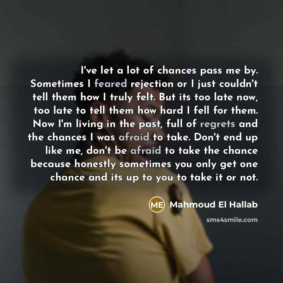 “I've let a lot of chances pass me by. Sometimes…” quote by Mahmoud El Hallab