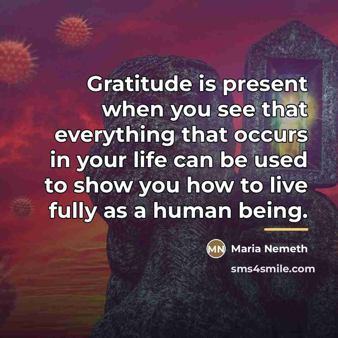 “Gratitude is present when you see that everything that occurs…” quote by Maria Nemeth