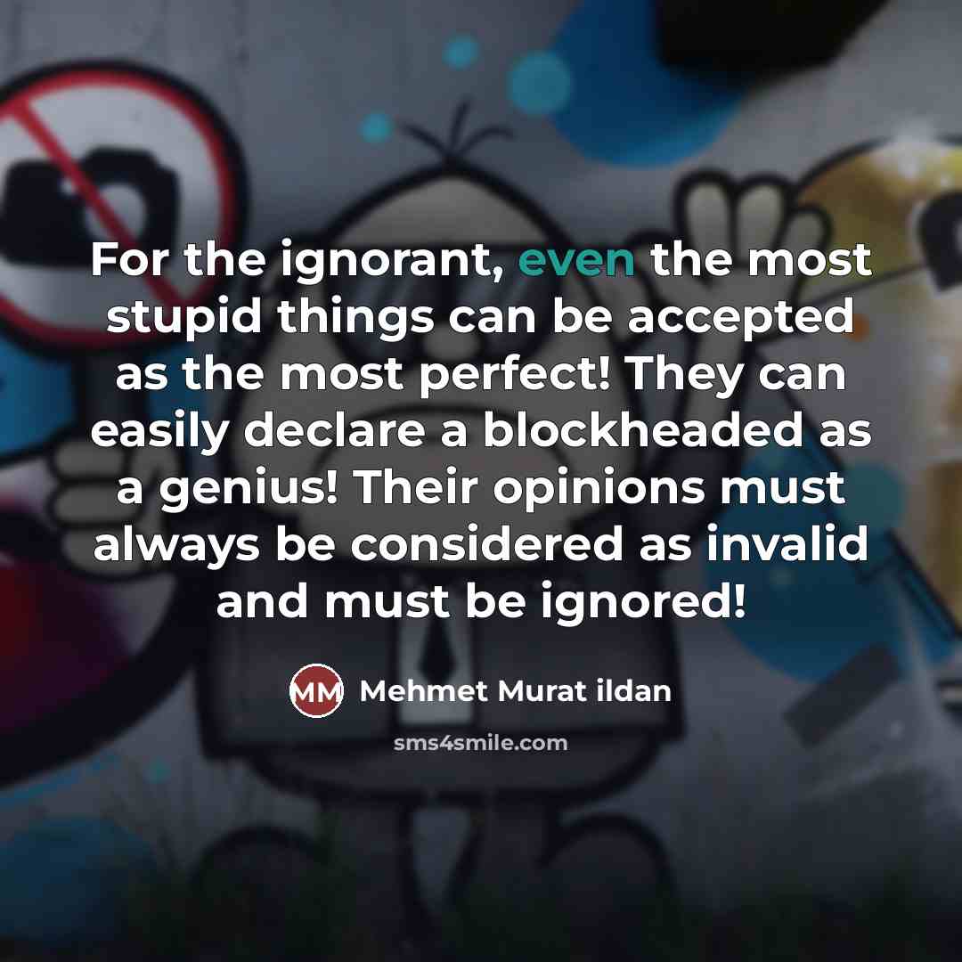 “For the ignorant, even the most stupid things can be…” quote by Mehmet Murat Ildan