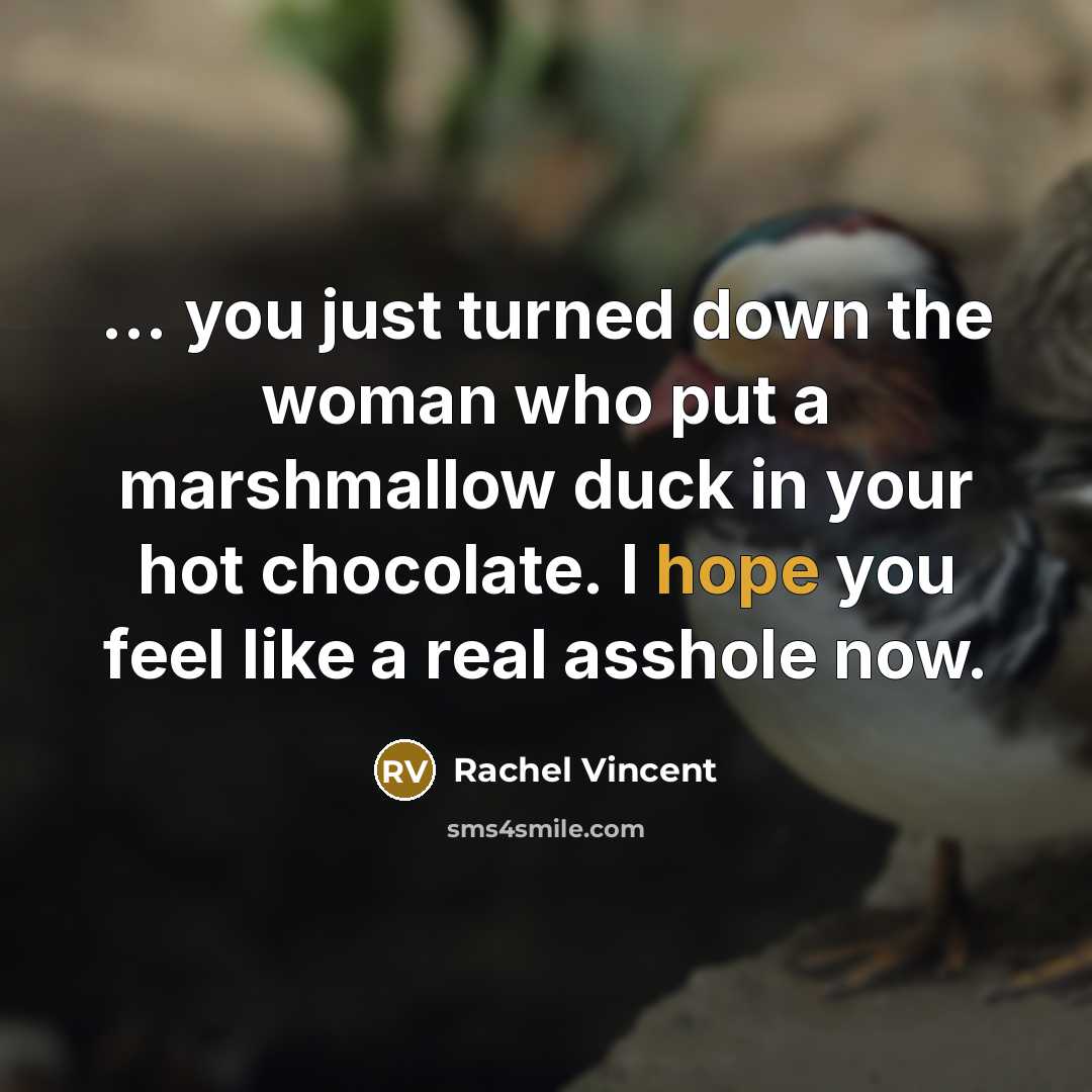 “... you just turned down the woman who put a…” quote by Rachel Vincent