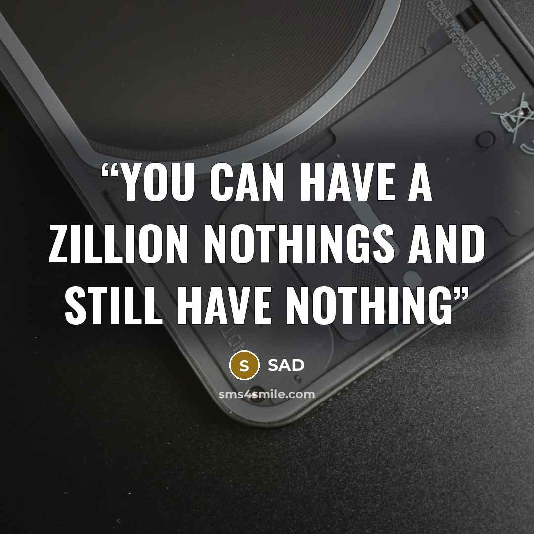 “You can have a zillion nothings and still have nothing” quote by SAD