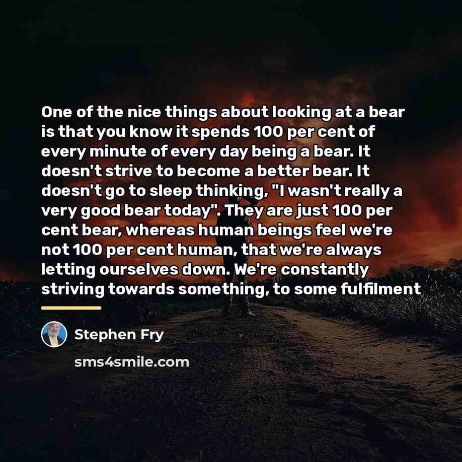 “One of the nice things about looking at a bear…” quote by Stephen Fry