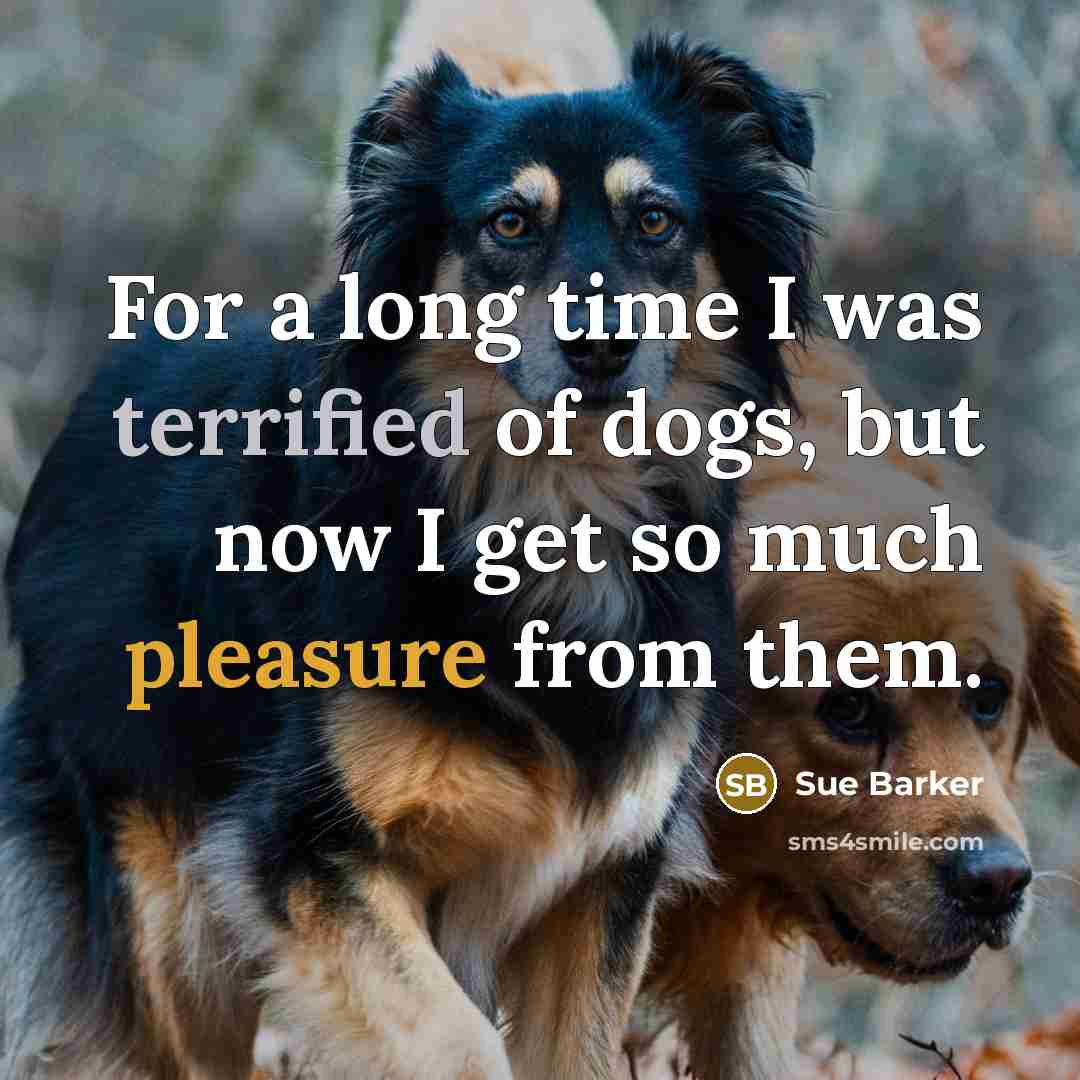 “For a long time I was terrified of dogs, but now I get so much pleasure from them.” quote by Sue Barker