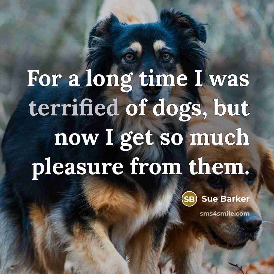“For a long time I was terrified of dogs, but…” quote by Sue Barker