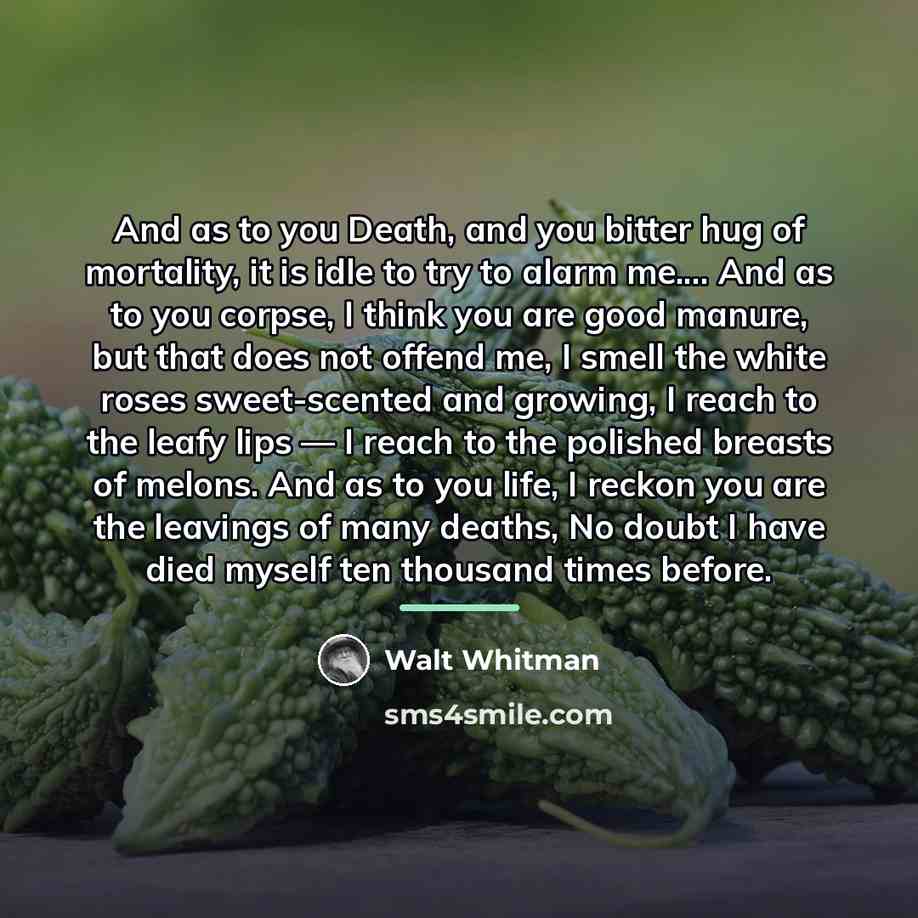 “And as to you Death, and you bitter hug of…” quote by Walt Whitman