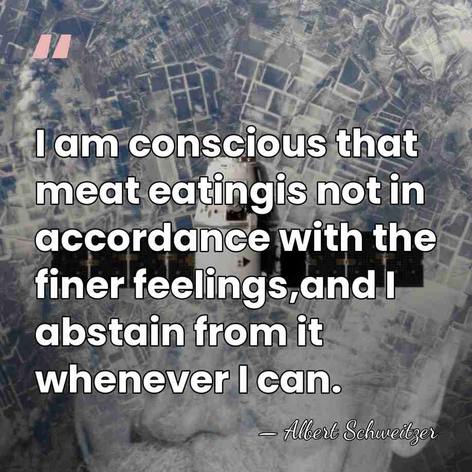 I am conscious that meat eatingis not in accordance with the finer&hellip; - Albert Schweitzer