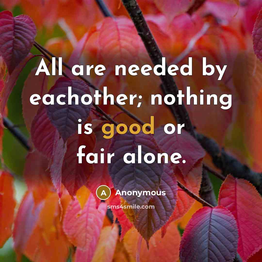 “All are needed by eachother; nothing is good or fair…” quote by Anonymous