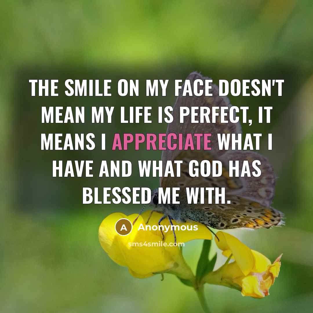 “The smile on my face doesn't mean my life is…” quote by Anonymous