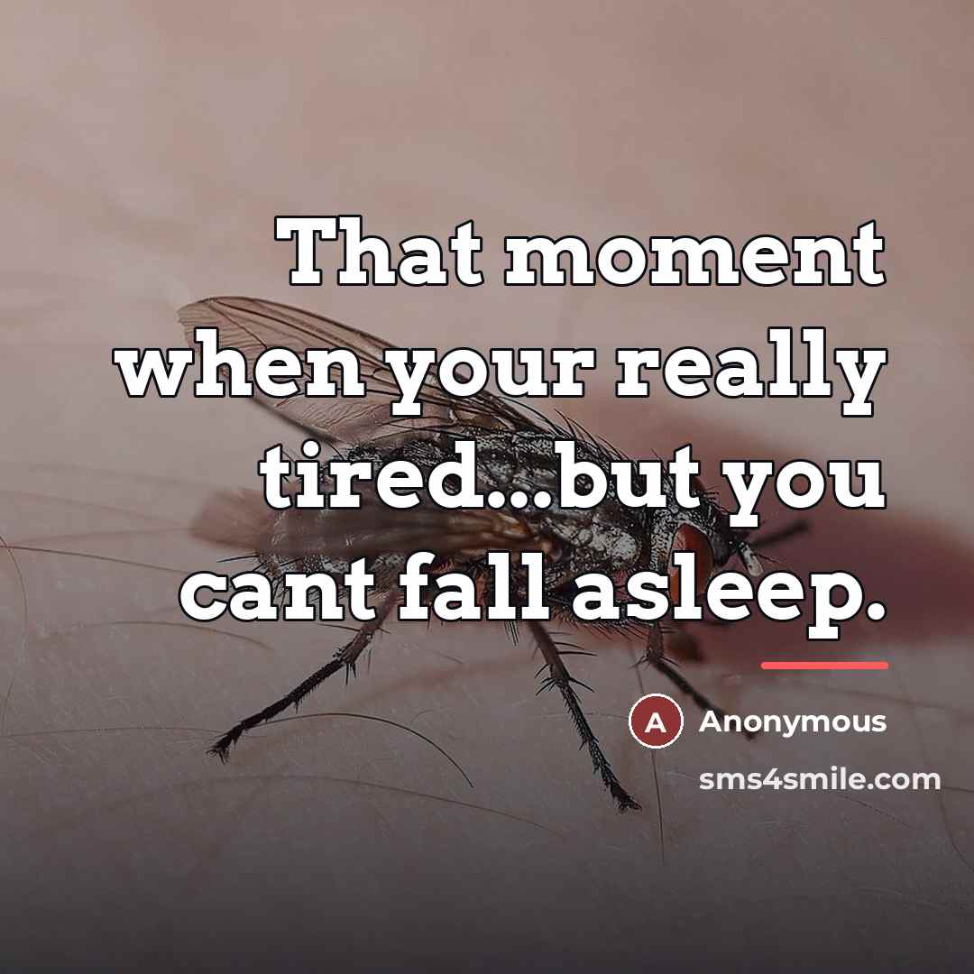“That moment when your really tired...but you cant fall asleep.…” quote by Anonymous