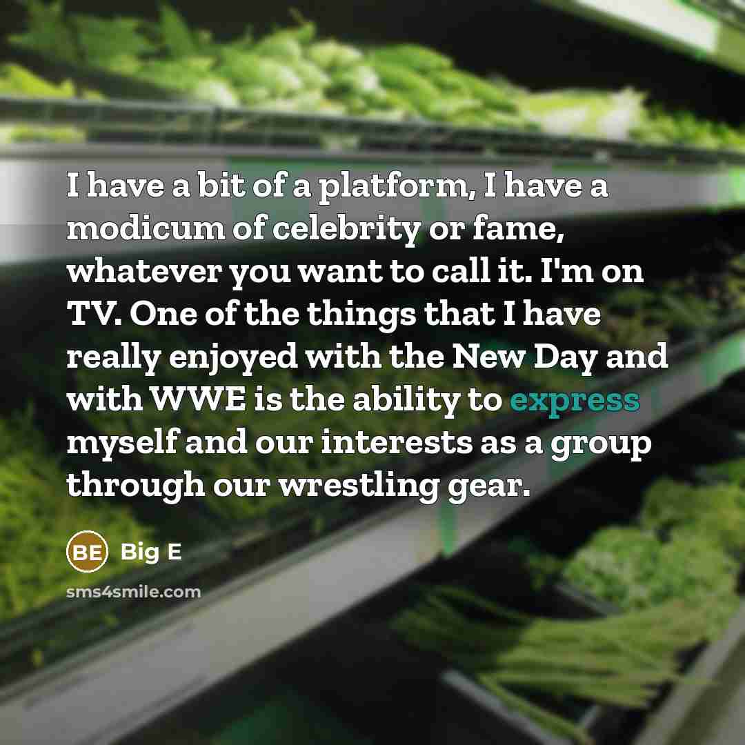 “I have a bit of a platform, I have a…” quote by Big E