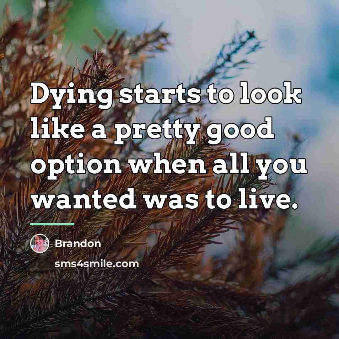 “Dying starts to look like a pretty good option when…” quote by Brandon