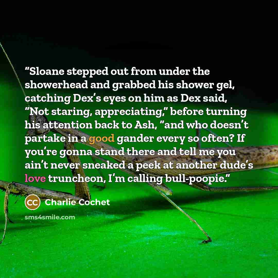 “Sloane stepped out from under the showerhead and grabbed his shower gel, catching Dex’s eyes on him as Dex said, “Not staring, appreciating,” before turning his attention back to Ash, “and who doesn’t partake in a good gander every so often? If you’re gonna stand there and tell me you ain’t never…” quote by Charlie Cochet