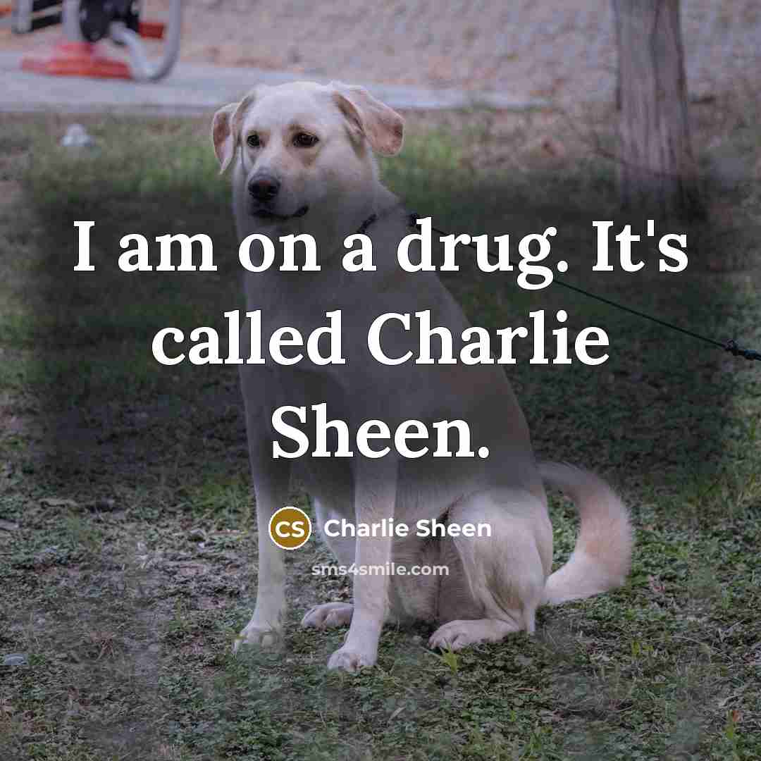 “I am on a drug. It's called Charlie Sheen.…” quote by Charlie Sheen