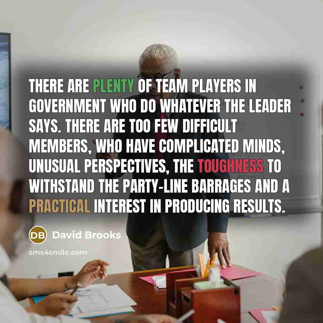 “There are plenty of team players in government who do…” quote by David Brooks