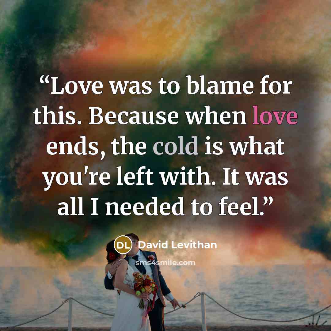 “Love was to blame for this. Because when love ends, the cold is what you're left with. It was all I needed to feel.” quote by David Levithan