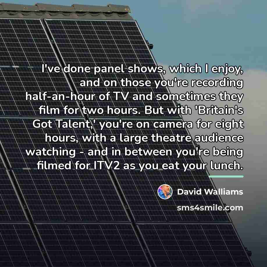 “I've done panel shows, which I enjoy, and on those…” quote by David Walliams