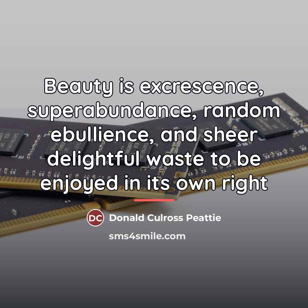 “Beauty is excrescence, superabundance, random ebullience, and sheer delightful waste…” quote by Anonymous
