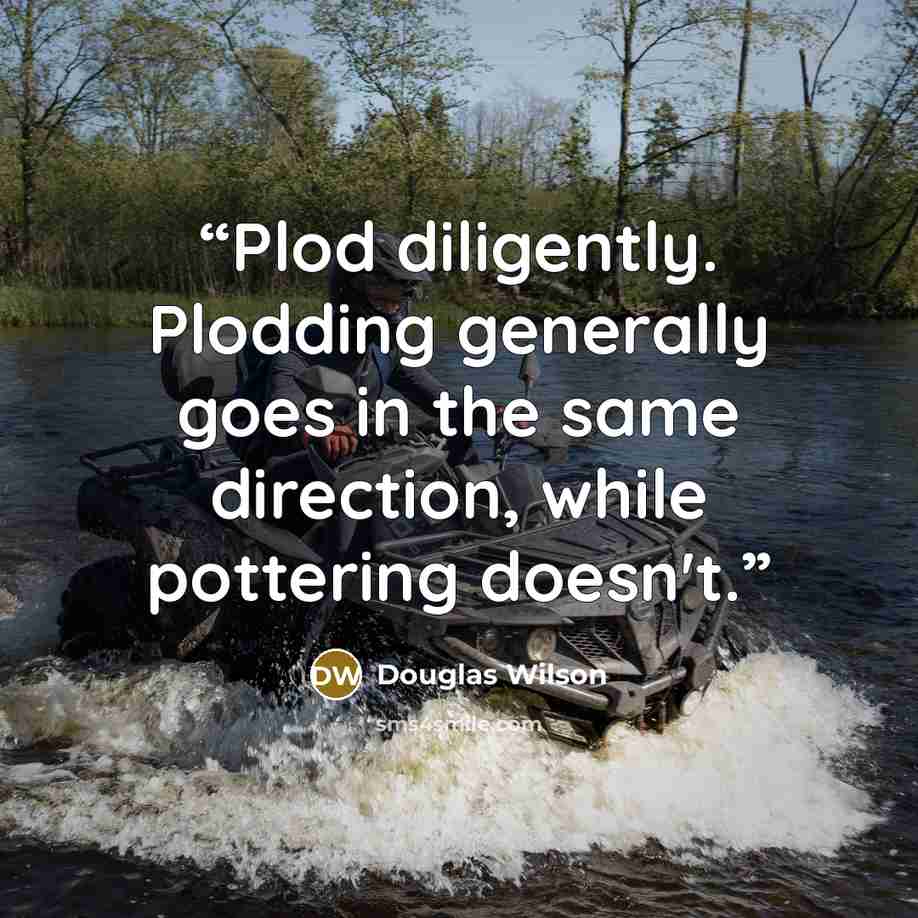 “Plod diligently. Plodding generally goes in the same direction, while pottering doesn't.” quote by Douglas Wilson