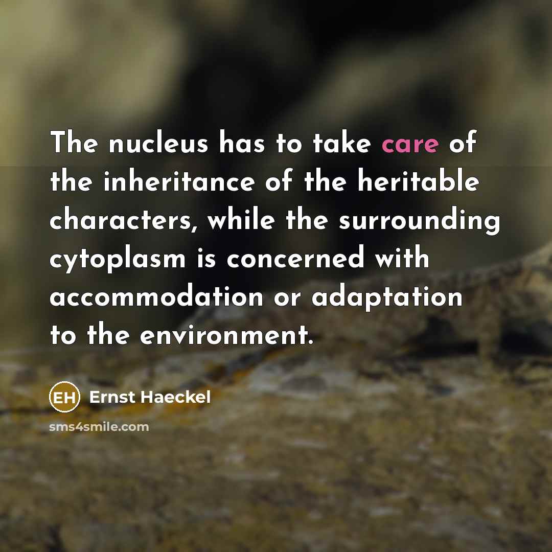 “The nucleus has to take care of the inheritance of…” quote by Ernst Haeckel